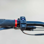 Kaabo King GTR Electric Scooter - Outside Town