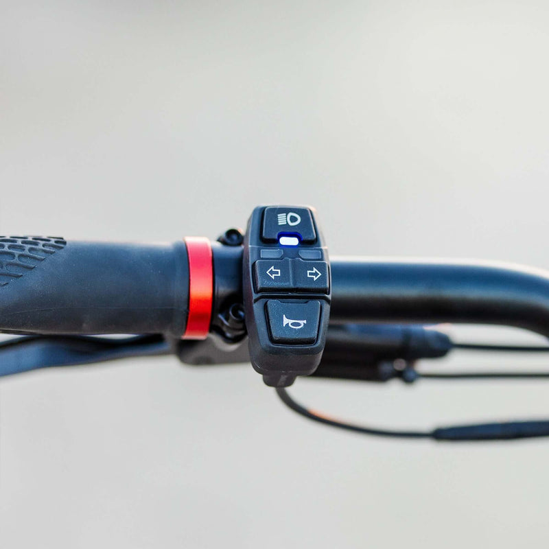 Kaabo King GTR Electric Scooter - Outside Town