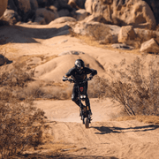 Warrior 11 Pro+ Electric Scooter - Outside Town